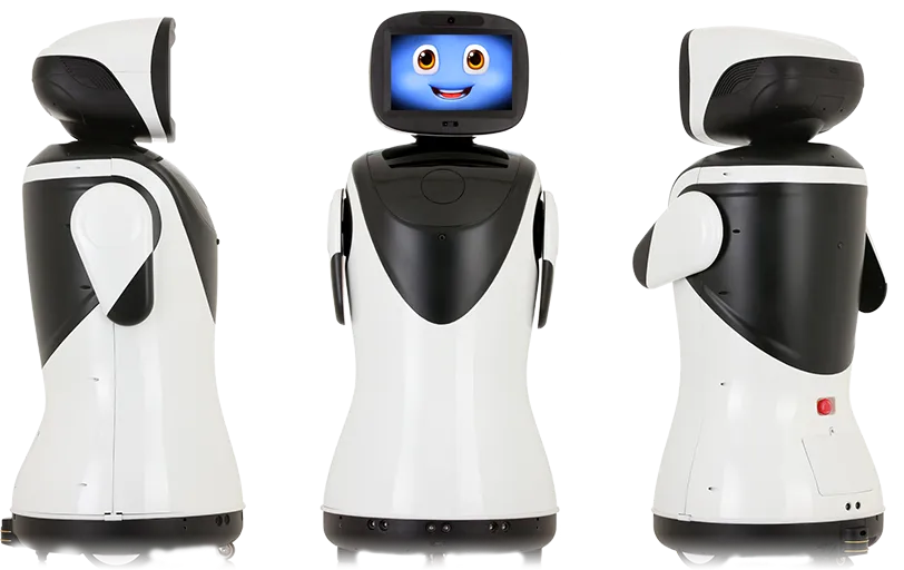 padbot-p3