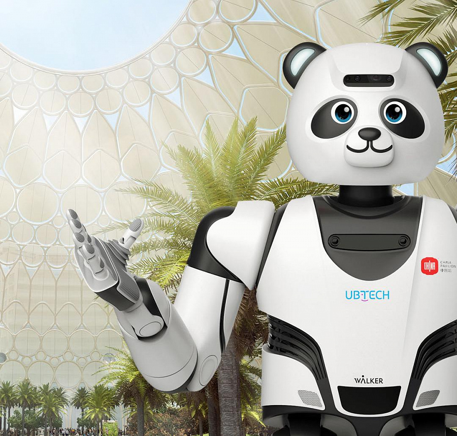 Ubtech Panda Robot 6