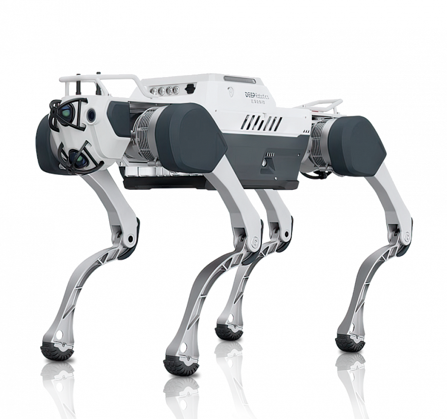 DeepRobotics X30 Basic 1