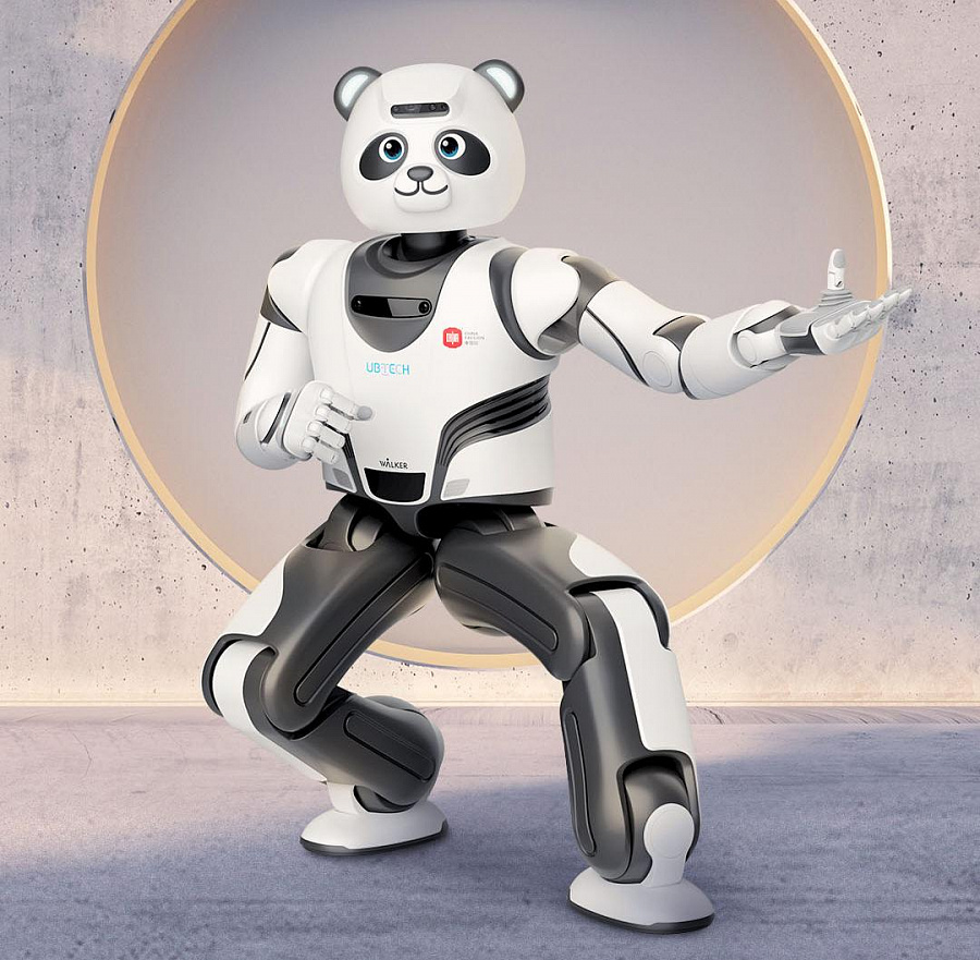 Ubtech Panda Robot 5