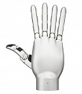 Linker Hand L20 Lite